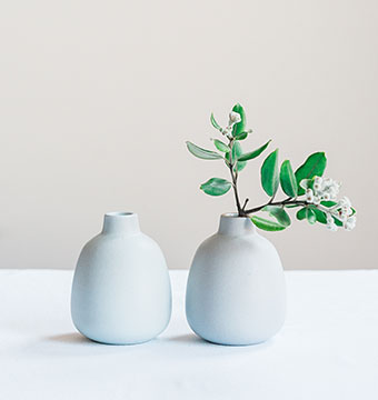 image of two small vases with plants